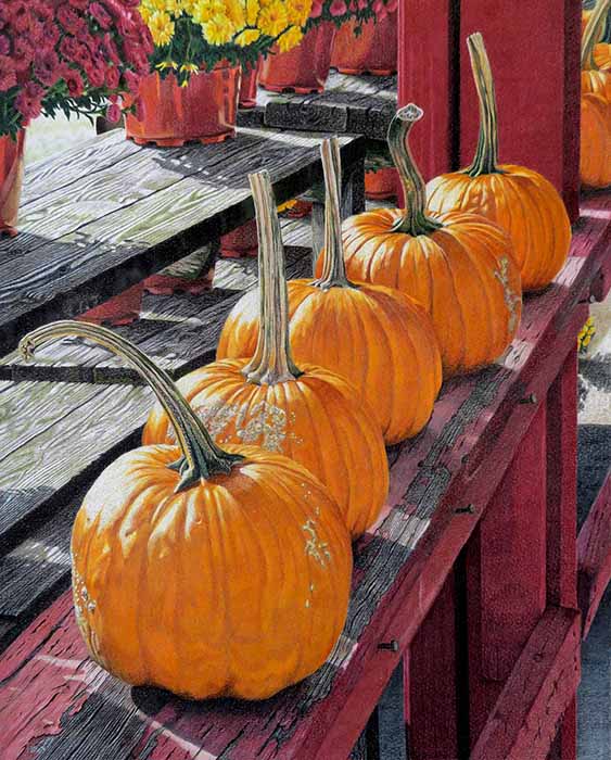 Five pumpkins lined up on a weathered, faded barnboard shelf